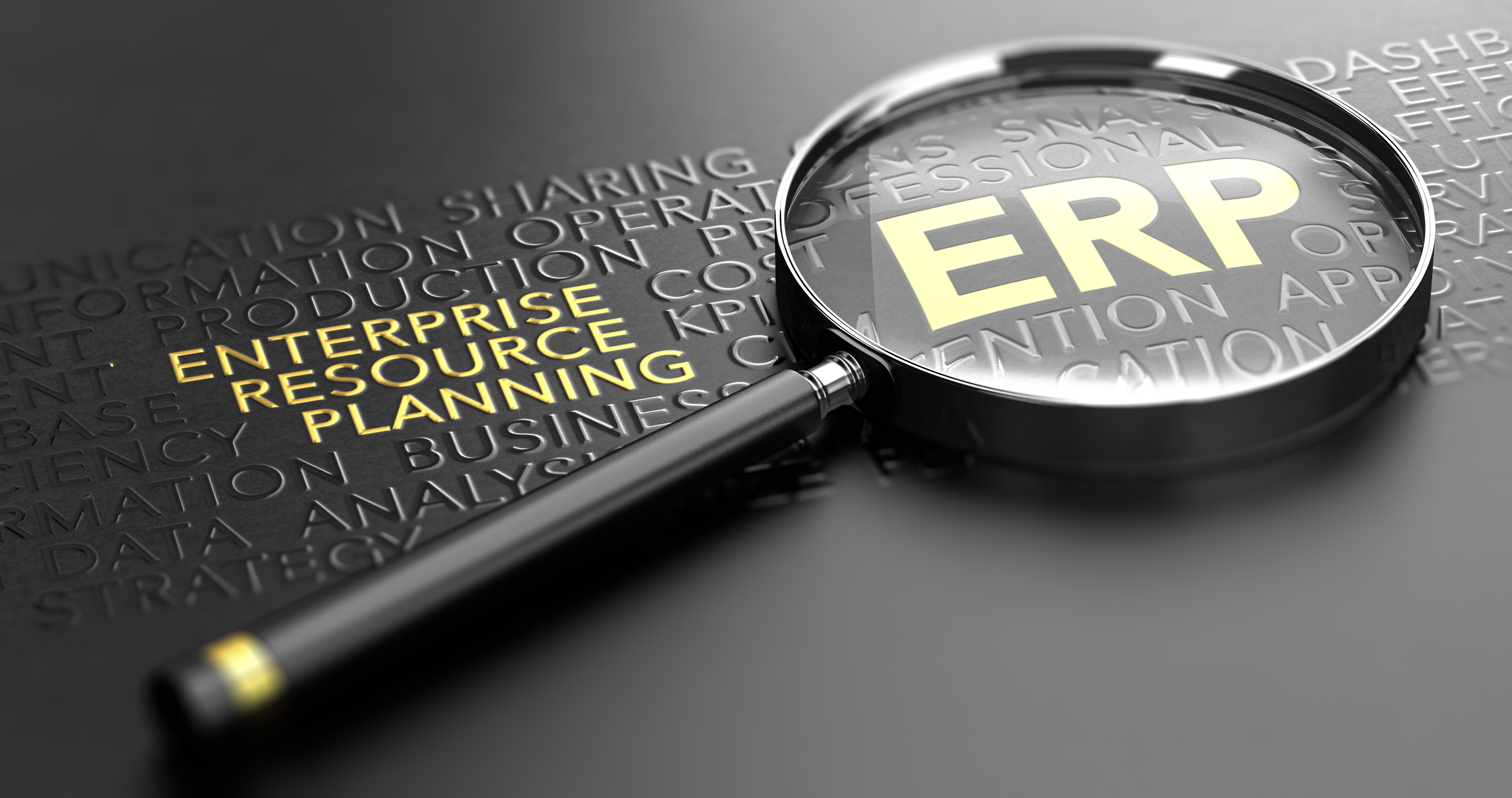 ERP, enterprise resource planning, software